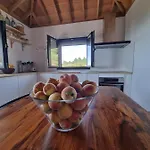 Vaqueros فيلة